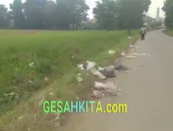 Sampah Berserakan, Dijalan Pasar Mega Asri Kelurahan Sukajadi Timur.