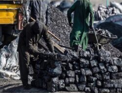 Ekspor batu bara Rusia ke Asia Tenggara melonjak hampir 50%