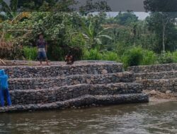 Faktor Alam Tapakan Bangunan Penahan Longsor Sungai (Bronjong) Desa Galang Tinggi Mengalami Penurunan