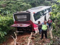 Unit Lantas Polsek Sumber Jaya Lakukan Evakuasi  Kecelakaan Tunggal Bus Terperosok Kedalam Jurang