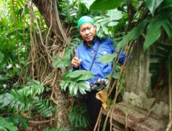 KOPZIPS Temukan Makam Kuno di Jalan Hang Jebat, Jejak Sejarah Islam di Palembang