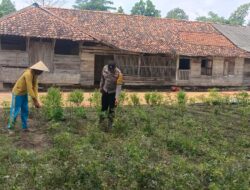 Aipda Anjodhi Ibrahim Dukung Warga Yang Telah Mengembangkan Lahan Pertanian