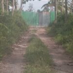 Gudang BBM Ilegal Milik GT Diduga Kebal Hukum, Warga”Kemana APH?”