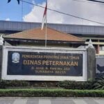 BPK Jatim Ungkap UPT Inseminasi Dinas Peternakan Jatim Tidak Melaporkan Persediaan