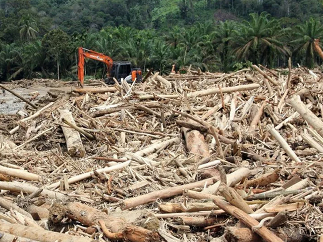 Kayu Gelondongan Banjir Sumut Kayu Gelondongan Banjir Sumut