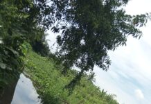 Warga RT.06 Macan Lindungan Kecewa Pembangunan Talud APBD 2025 Senilai 500 Juta, Setengah Jalan Berhenti Walikota Diminta Turun tangan