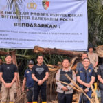 Terkait Temuan Kayu Gelondongan di DAS Garoga Sumatra Utara, Bareskrim Polri Akan Periksa PT TBS Kayu Gelondongan, DAS Garoga