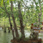 Libur Nataru, Okupansi Hotel Banyuwangi Tembus 100% dan Ribuan Wisatawan Padati Destinasi Libur Nataru