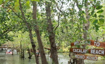 Libur Nataru, Okupansi Hotel Banyuwangi Tembus 100% dan Ribuan Wisatawan Padati Destinasi Libur Nataru