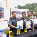 Kemenhut dan Bareskrim Temukan Indikasi Pemotongan Kayu Ilegal di DAS Garoga Pemotongan Kayu Ilegal