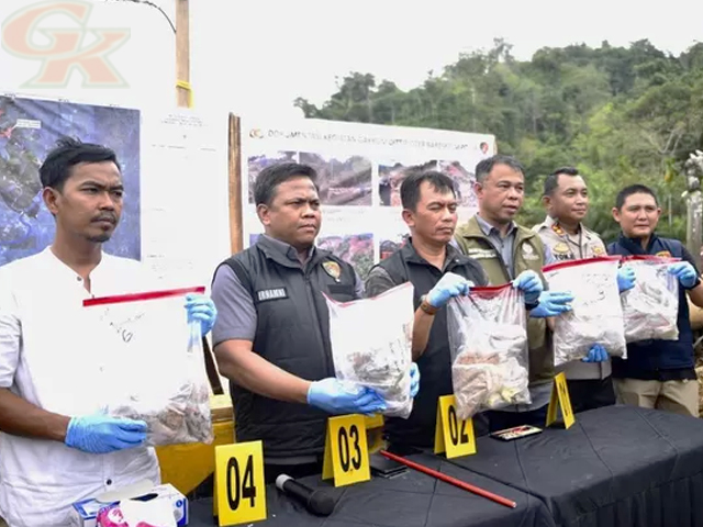 Pemotongan Kayu Ilegal Pemotongan Kayu Ilegal