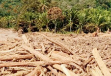 Tindak Tegas Perusak Hutan, Kementerian Kehutanan Kembali Segel Subjek Hukum Perusak Hutan