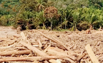 Tindak Tegas Perusak Hutan, Kementerian Kehutanan Kembali Segel Subjek Hukum Perusak Hutan