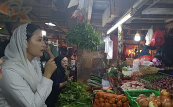 Jelang Tahun Baru 2026, Wamendag Pantau Harga Cabai dan Minyak Goreng di Pasar Senen Harga Cabai, Pasar Senen