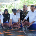 KKP Kucurkan Hibah Bioflok di Situbondo, Pasok Ikan Lele untuk Program Makan Bergizi Gratis usaha budidaya ikan bioflok