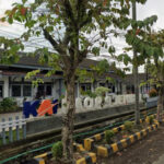 Banyuwangi Jadi Magnet Wisata, 49 Persen Penumpang Daop 9 Jember Terpusat di Ujung Timur Jawa Banyuwangi Jadi Magnet Wisata, Daop 9 Jember