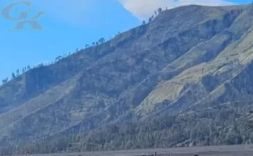 Kunjungan Bromo Tembus 49 Ribu Orang Selama Nataru, Jalur Malang Jadi Favorit Bromo