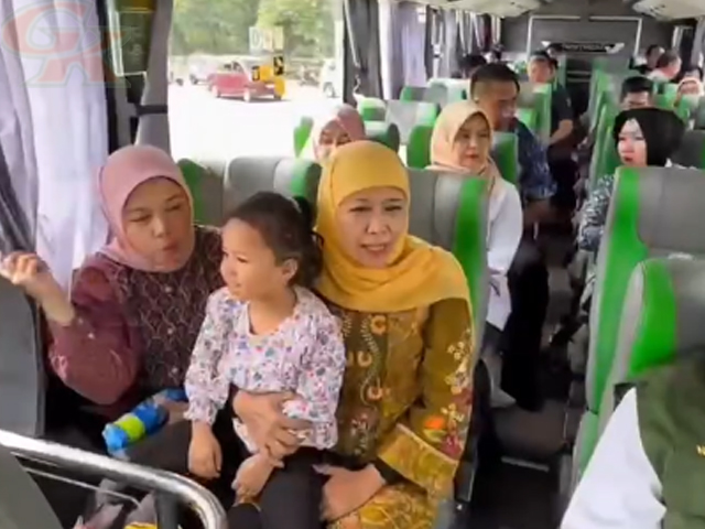 Bus TransJatim Bus TransJatim