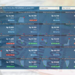 Cabai Rawit Merah di Sumsel Melampaui Rata-Rata Nasional Cabai Rawit Merah