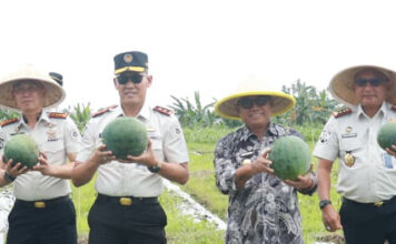 Ketahanan Pangan Banyuwangi