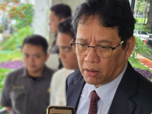 Perusahaan Mineral Nasional Perusahaan Mineral Nasional