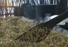 Desa Parerejo, Pusat Inovasi Kampung Tempe dengan Omzet Jutaan Rupiah Pusat Inovasi Kampung Tempe