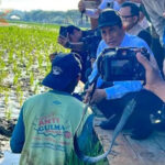 Gunakan Skema Padat Karya untuk Rehabilitasi Lahan, Mentan Amran Tinjau Sawah Terdampak di Aceh Skema Padat Karya