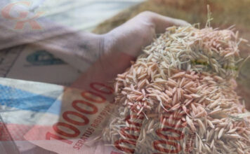 Mulai 2026, Bulog Tetapkan Skema Pembelian Gabah Pakai Sistem Digital Skema Pembelian Gabah