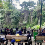 Ragunan Prediksi 100 Ribu Pengunjung Padati Kebun Binatang pada Hari Pertama 2026 Taman Margasatwa Ragunan