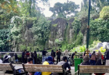 Ragunan Prediksi 100 Ribu Pengunjung Padati Kebun Binatang pada Hari Pertama 2026 Taman Margasatwa Ragunan