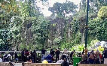 Ragunan Prediksi 100 Ribu Pengunjung Padati Kebun Binatang pada Hari Pertama 2026 Taman Margasatwa Ragunan